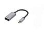 Type-C to DP Female Adapter