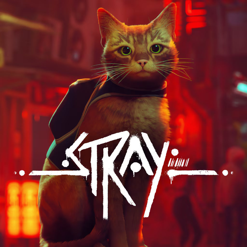 PS5 Stray Game